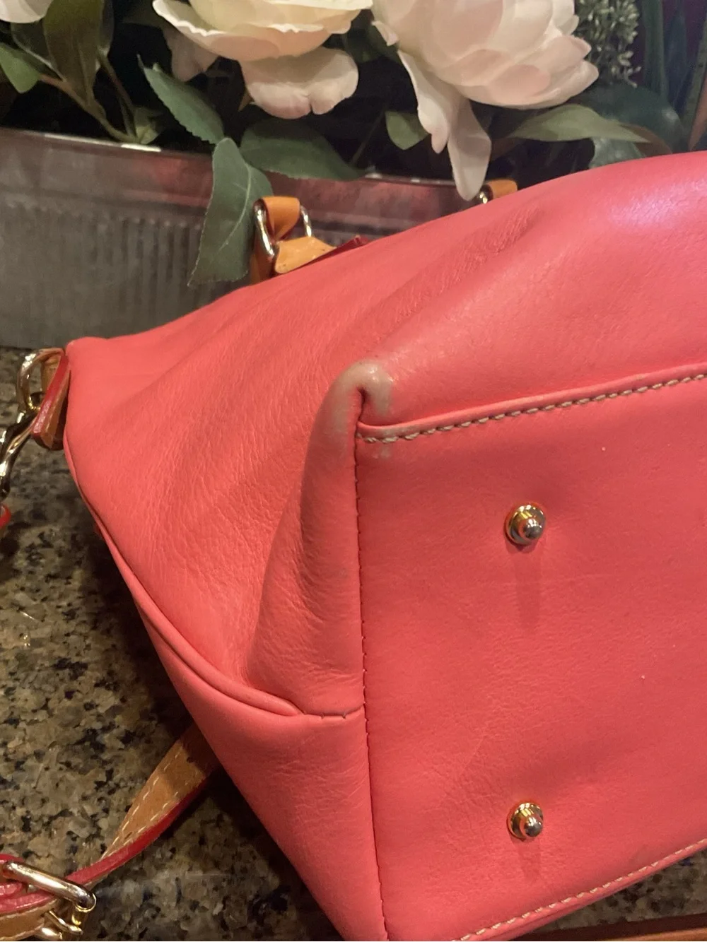 Dooney & Bourke Coral Satchel with Tan Trim